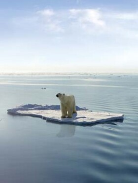 global-worming_280x400_fit_478b24840a