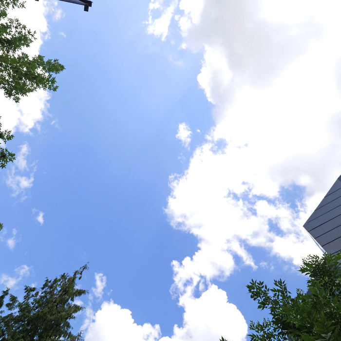 1833169-copy_700x700_crop_478b24840a