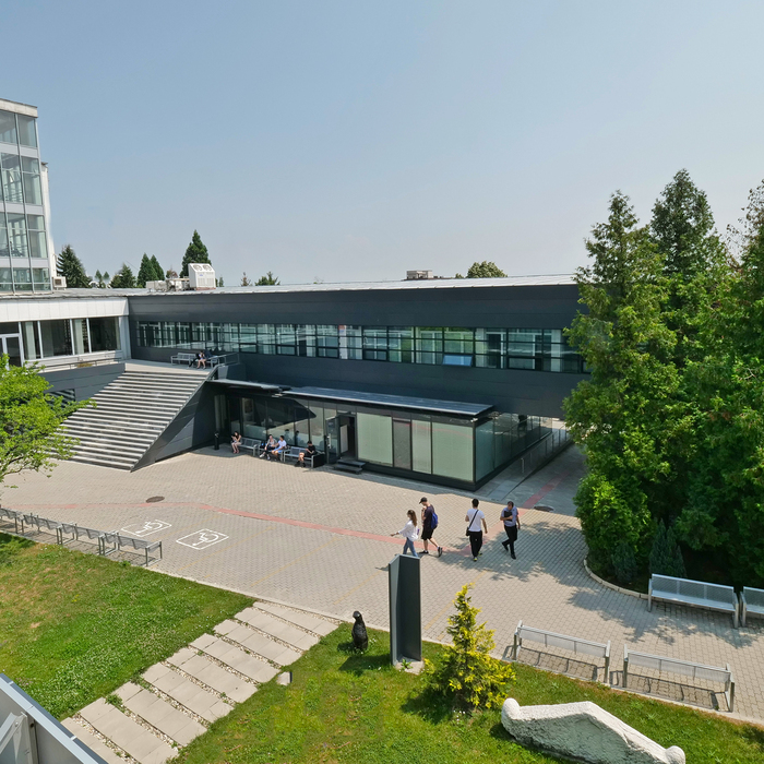 p1155231-copy_700x700_crop_478b24840a